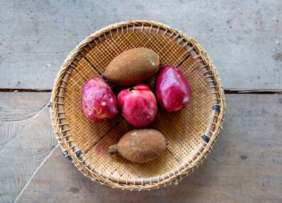 Original farm to table, Amazonas.