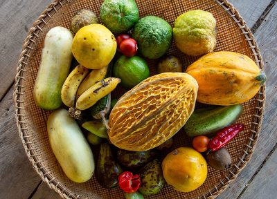 Original farm to table, Amazonas. Multicolor (vertical)