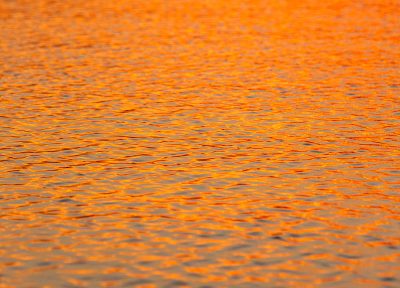 Agua en el Amazonas al atardecer (vertical)