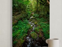 Bosque africano (vertical) - Imagen 2