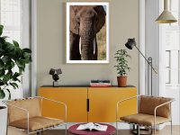 Elefante 3 (vertical) - Imagen 2