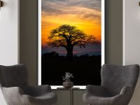 Baobab al atardecer. (vertical) - Imagen 2