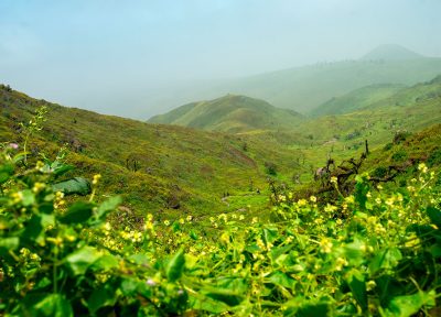 Lomas de Lachay