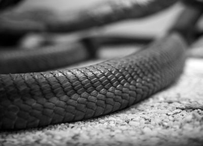 Serpiente