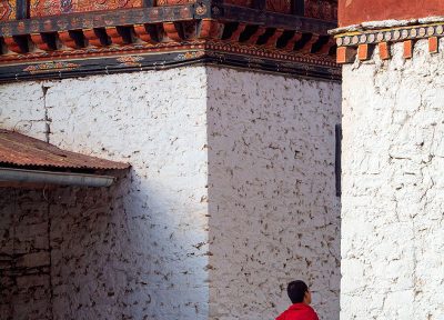 El monge y el gato, Bután. (vertical)