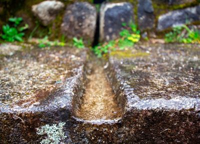 Detalle en Camino Inca.