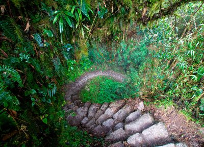 Camino Inca a Machu Picchu